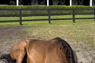 13205 Southfields Rd, Wellington, FL 33414 - Photo 25