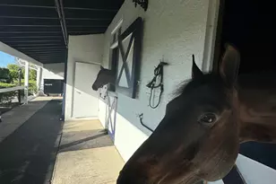 13205 Southfields Rd, Wellington, FL 33414 - Photo 7