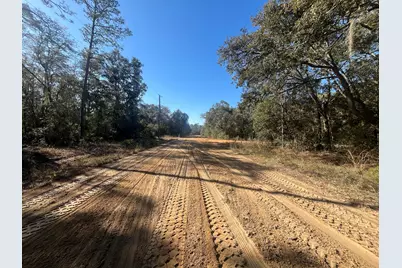 Tbd Banks, Interlachen, FL 32148 - Photo 5