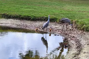 9259 SE Riverfront Terrace, Jupiter, FL 33469 - Photo 47