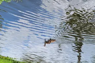 9259 SE Riverfront Terrace, Jupiter, FL 33469 - Photo 51