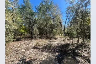 Tbd Kitty Avenue, 13, Interlachen, FL 32148 - Photo 5