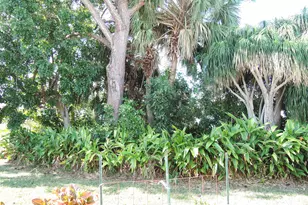 211 Manatee Ln, Fort Pierce, FL 34982 - Photo 19