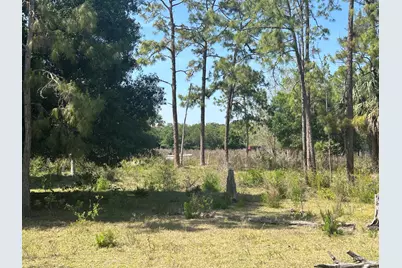 4810 Windmill Road, Loxahatchee, FL 33470 - Photo 11