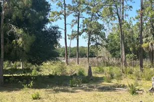 4810 Windmill Rd, Loxahatchee, FL 33470 - Photo 11