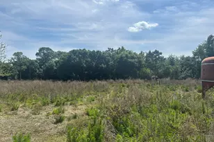 4810 Windmill Rd, Loxahatchee, FL 33470 - Photo 9