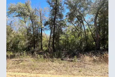 Tbd Walker Drive, Interlachen, FL 32148 - Photo 5