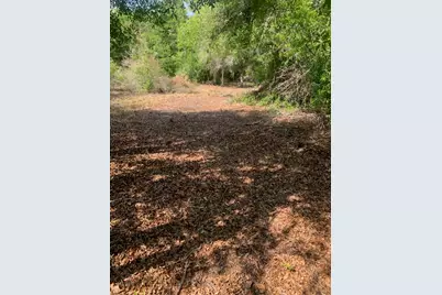 17774 NW 254th Street, Okeechobee, FL 34972 - Photo 9