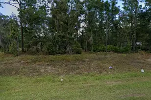 7211 Cardinal St, Keystone Heights, FL 32656 - Photo 1