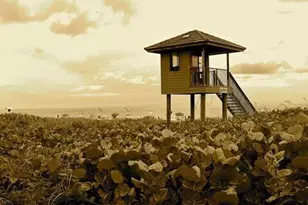 500 Egret Cir, Delray Beach, FL 33444 - Photo 27