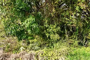 Tbd N 37th St, Fort Pierce, FL 34947 - Photo 1