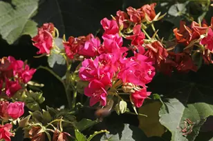 14775 Equestrian Way, Wellington, FL 33414 - Photo 111