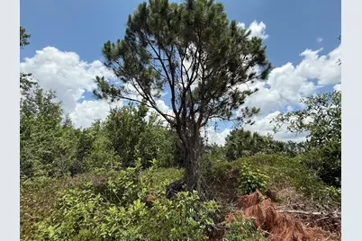 Tbd Snug Street, North Port, FL 34286 - Photo 5