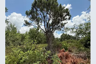 Tbd Snug Street, North Port, FL 34286 - Photo 3