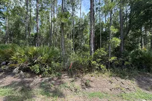 178 Millican Rd, Palatka, FL 32177 - Photo 1