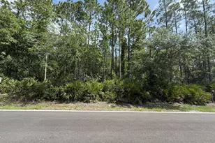 180 Millican Rd, Palatka, FL 32177 - Photo 1