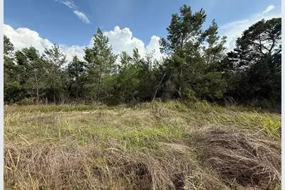 2921 W Seville Drive, Avon Park, FL 33825 - Photo 1
