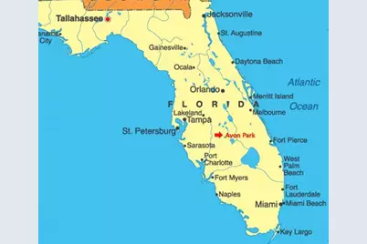 2921 W Seville Drive, Avon Park, FL 33825 - Photo 9