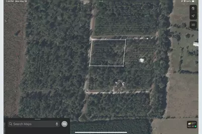 0 Evergreen St and Palm Ave, Gainesville, FL 32641 - Photo 1