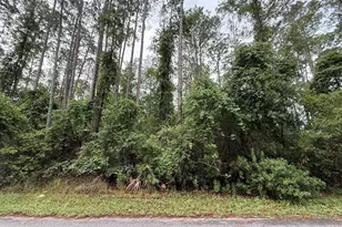 242 Lakeway Dr, Georgetown, FL 32139 - Photo 1