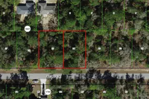 3059 W Eunice Dr, Citrus Springs, FL 34433 - Photo 1