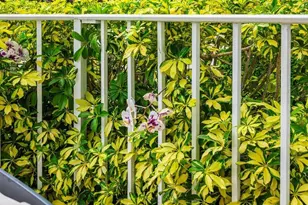 2295 S Ocean Blvd, Palm Beach, FL 33480 - Photo 29