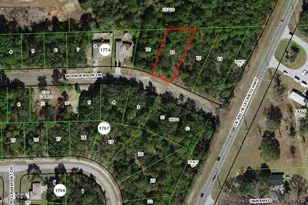 545 W Anderson Ln, Citrus Springs, FL 34434 - Photo 1