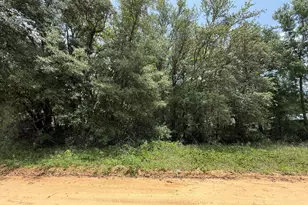 604 Kitty Ave, Interlachen, FL 32148 - Photo 1