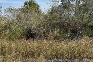 2995 Ell Pl SW, Palm Bay, FL 32908 - Photo 1