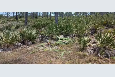 000 None, Malabar, FL 32950 - Photo 5