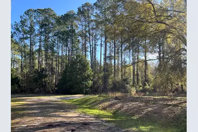 104 SE 5th Street, Georgetown, FL 32139 - Photo 5