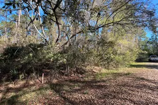104 SE 5th St, Georgetown, FL 32139 - Photo 1