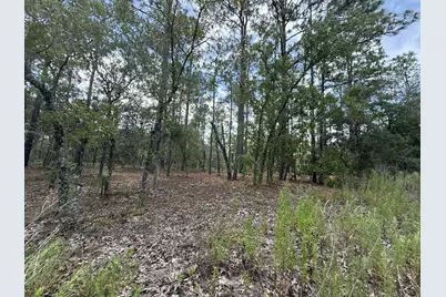 Tbd NW Tree Top Road, Dunnellon, FL 34431 - Photo 1
