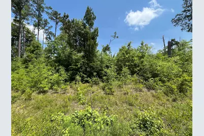 Tbd Grand Quiviera Circle, Alford, FL 32420 - Photo 1