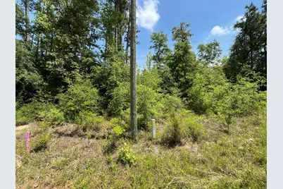 Tbd Grand Quiviera Circle, Alford, FL 32420 - Photo 7