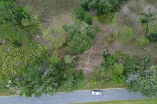 14492 Rowan Ave, Port Charlotte, FL 33953 - Photo 1