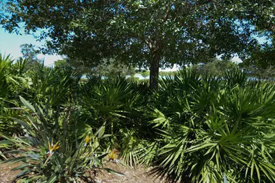 1080 Sterling Pine Place, Loxahatchee, FL 33470 - Photo 31