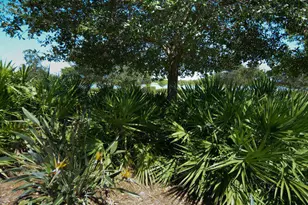 1080 Sterling Pine Pl, Loxahatchee, FL 33470 - Photo 31