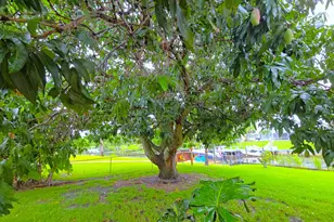 147 N Naranja Ave, Port Saint Lucie, FL 34983 - Photo 51