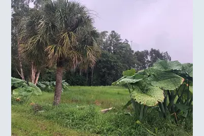 6424 Park Lane W, Lake Worth, FL 33449 - Photo 13