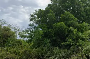 3268 NW 19th Ave, Okeechobee, FL 34972 - Photo 1