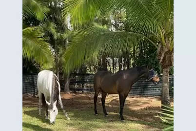 3251 SW Holly Lane, Palm City, FL 34990 - Photo 37