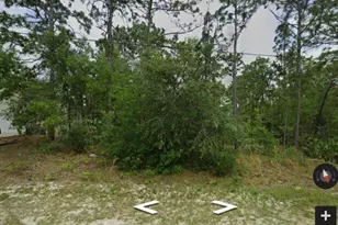 2124 W Linden Dr, Citrus Springs, FL 34434 - Photo 1