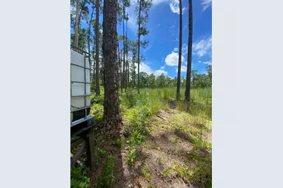 418 Gaillardia Drive, Lake Wales, FL 33855 - Photo 7