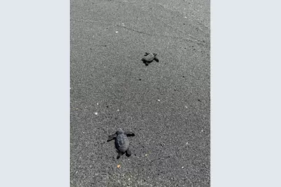 3422 SE Fairway W, Stuart, FL 34997 - Photo 81