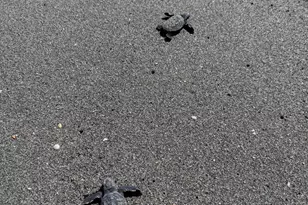 3422 SE Fairway W, Stuart, FL 34997 - Photo 81