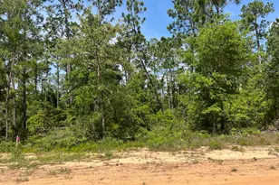 Tbd Holly Springs, Alford, FL 32420 - Photo 1