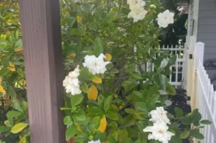 2945 70th Pl, Vero Beach, FL 32967 - Photo 21