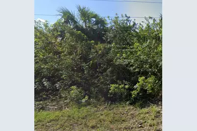 886 Bitlis Street SW, Palm Bay, FL 32908 - Photo 1