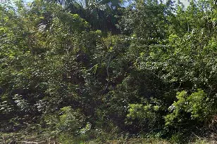 886 Bitlis Street SW, Palm Bay, FL 32908 - Photo 1